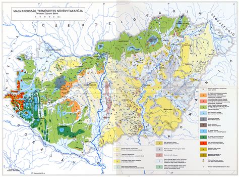 Térkép a 12 törzs felosztása. Magyarország természetes növénytakarója | Körinfo