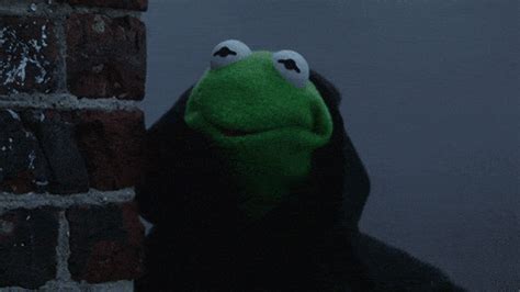 Kermit the frog is a muppet character created and originally performed by jim henson. Kermit The Frog GIF - Find & Share on GIPHY