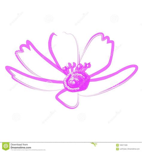 Esquema aislado de la flor ilustración del vector Ilustración de