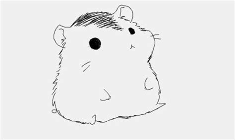 Download Hamster | Desenhos animados bonitinhos, Animais kawaii e ...