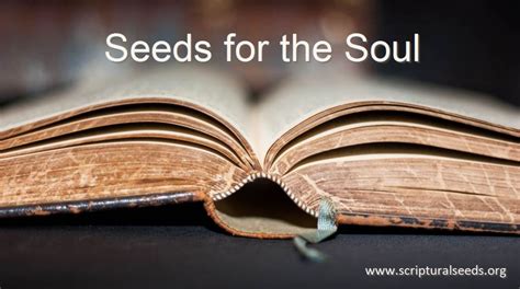 October 8th 2016 Seeds For The Soul Scriptural Seeds Ministries