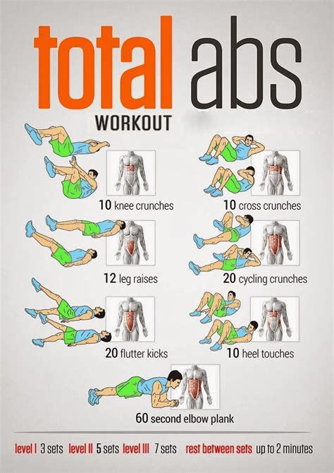 Total Abs Workout Total Ab Workout Abs Workout 24 Hour Fitness Workout
