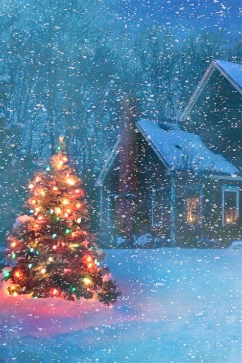 Instagram accounts instagram posts go outside pretty pictures trick or treat fireworks savage skeleton ranger. Beautiful Christmas Tree on a Snowy Evening | Incredible Pics