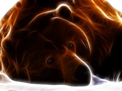 Fractal Animal Magic Bear Animal Bear Fractal Magic Fractal