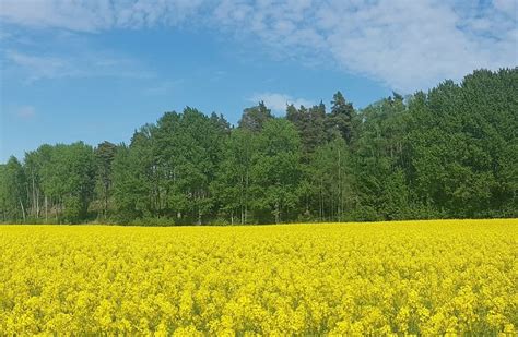 Download and use 60+ schweden landschaft stock photos for free. Närke, die Landschaft mitten in Schweden