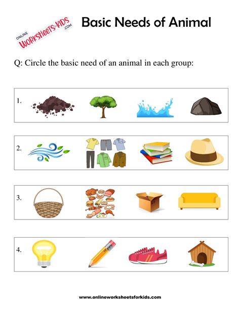 Kindergarten Worksheet Animal Basic Needs
