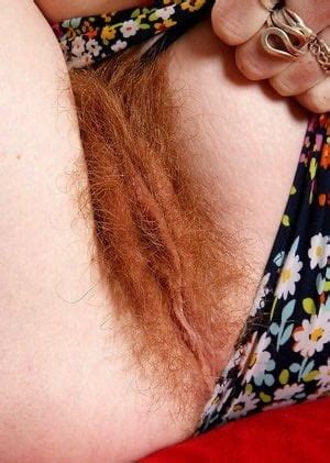 Real Redhead Hairy Pussy 13 Pics XHamster