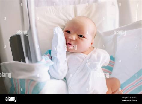 Newborn Baby In The Hospital Bassinet Stock Photo Alamy