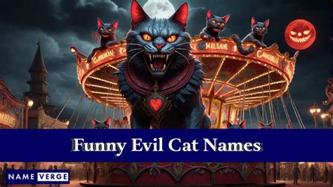 Evil Cat Names 484 Funny Names For Your Demon Cat