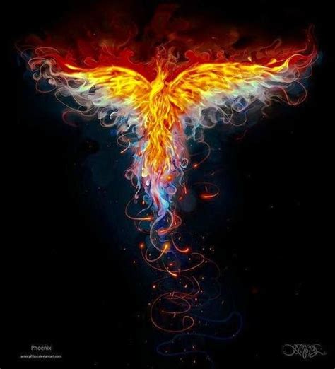 Check Out One Eye Butterfly On Reverbnation Phoenix Art Phoenix