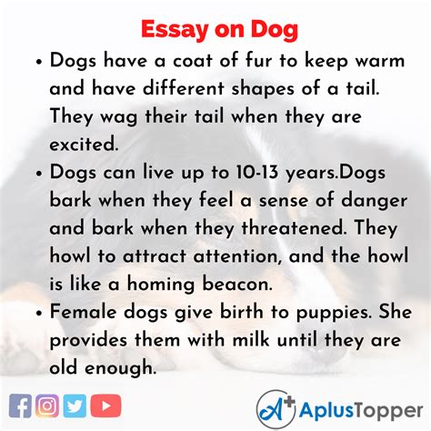 Dog Essay Essay On Dog For Students And Children In English A Plus