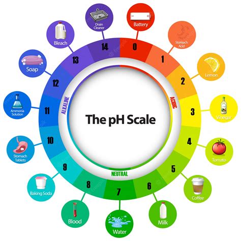 Premium Vector Diagram Showing Ph Scale