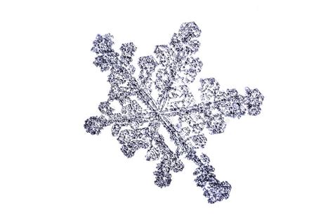 Natural Snowflake Isolated On A White Closeup Stock Photo Image Of