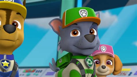 Summer paw patrol rubble and skye coloring pages printable and coloring book to print for free. Ultimate Rescue: Pups and the Hidden Golden Bones/Gallery ...