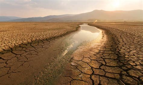 Droughts In The Us Which States Are At The Highest Risk A Z Animals