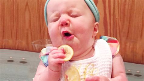 Best Videos Of Adorable Babies Eating Lemons For The First Time YouTube
