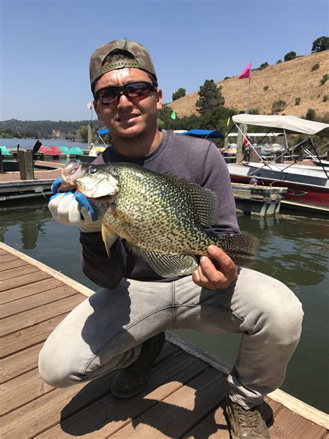 Lake Chabot Features Trophy Bass Crappie And Trout