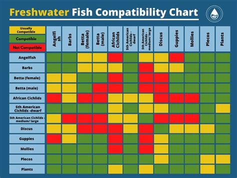 Fish Compatibility Charts For Freshwater And Marine Aquariums In 2024