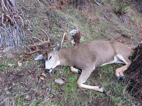Dead Buck Western Hunting Journal