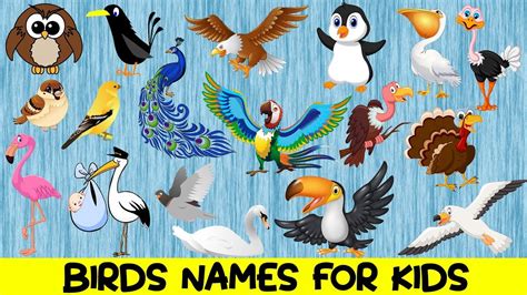Birds For Kids Learn Birds Names For Children In English Youtube