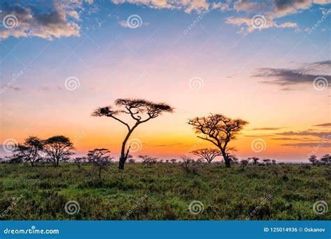 Beautiful Sunset With Dramatic Sky In African Savanna Stock Photo