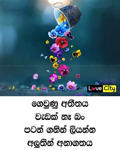Love City Sinhala Wadan Photos Adara Wadam