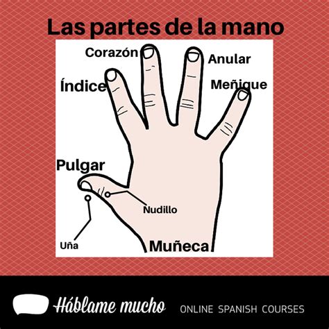 Hablame Mucho Online Spanish Courses