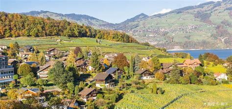 10 Best Things To Do In Spiez Niedersimmental District Spiez Travel