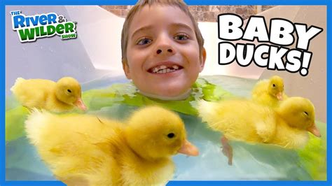 Kids Stayhome With Baby Ducks Play Withme Youtube