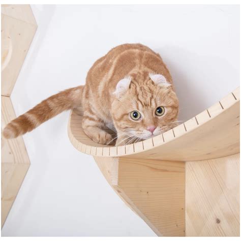 This unique wall mounted cat perch is in an elegant moon shape, beautifully crafted from spruce or mahogany wood. Luna Wall Mounted Cat Perch - 236-0000000004 - CatsPlay ...
