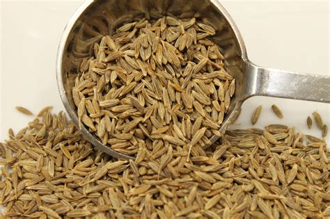 Cumin seeds are fragrant, nutritional, and makes everything taste utterly wonderful. Cumin Seed - Stuart's Spices