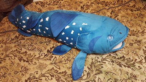 The west indian ocean coelacanth (latimeria chalumnae). My coelacanth plushie arrived. Probably my favorite ...