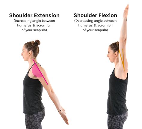 Back Extension Vs Flexion