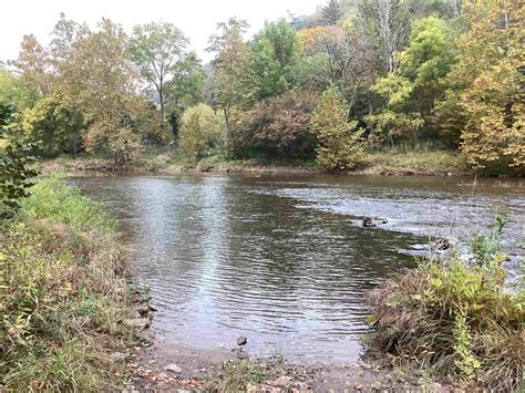 Western Pennsylvania Conservancy Protects 414 Acres Of Forestland In