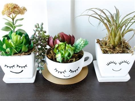 19 Diy Succulent Planter Ideas That Are So Cool You Wont Want To Miss
