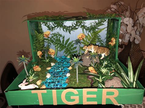Jungle Diorama Tiger Habitat Elementary School Project Habitats