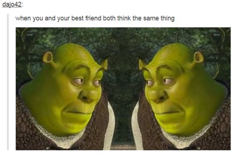 When You And Your Best Friend Both Think The Same Thing Shrek Funny