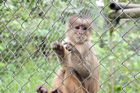 El Refugio De Más De 200 Animales El Diario Ecuador