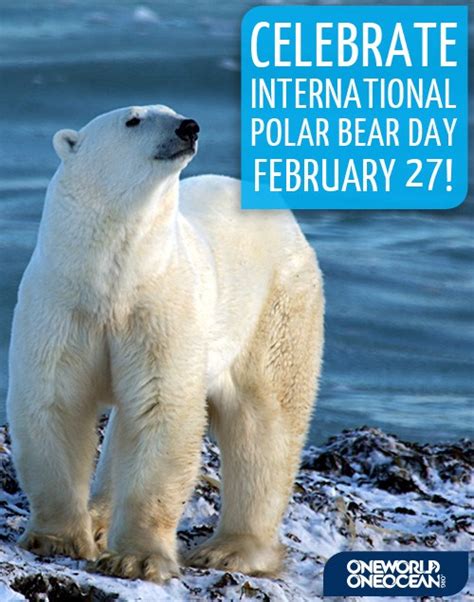 Feb 27 Is International Polar Bear Day Sustainable Tourism 2030 Pledge