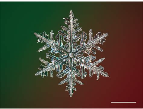 High Resolution Photography Of Snowflakes With A Field Microscope
