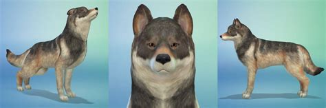 My First Wolf In Sims 4 By Shinranlove4ever On Deviantart