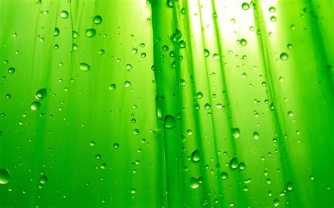 Water Drops On Green Plastic Hd Wallpaper Wallpaper Flare