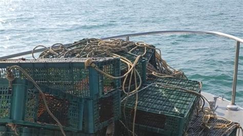 Pesca Illegale Nel Mare Di Salerno Sequestrate 20 Nasse Ottopagine