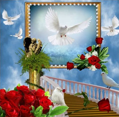 We did not find results for: In memory of - 02-2015 | Rose flower wallpaper, Digital ...