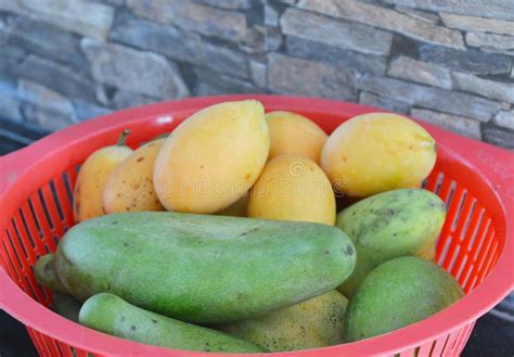 La Fruta Tropical Del Mango Del Ciruelo Producida Por La Mitad El