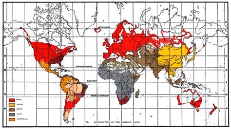 Userpalaeovia Wikipedia