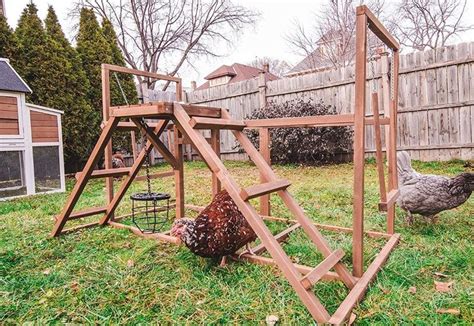 Chicken Playground Backyard Poultry Chickens Backyard Chicken Diy