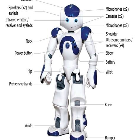 Main Operational Requirements Of Humanoid Robots Download Scientific
