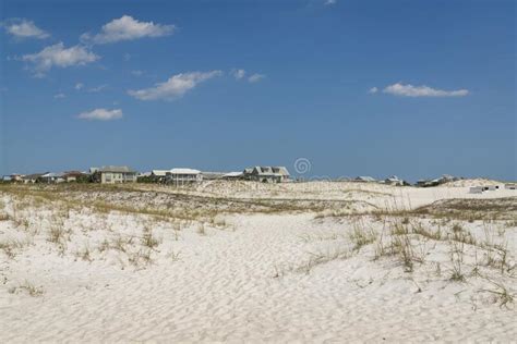 White Sand Dunes With Grasses Near The Residential Area At Destin