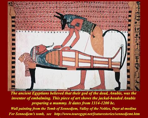 ancient egypt and the mummification process anp264 great discoveries in archaeology